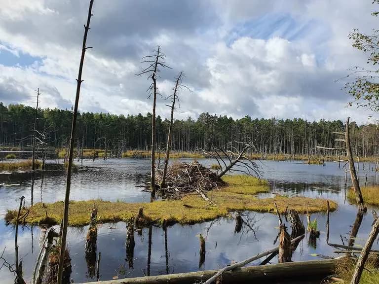 Otwock atrakcje: odkryj najpiękniejsze miejsca i ukryte skarby