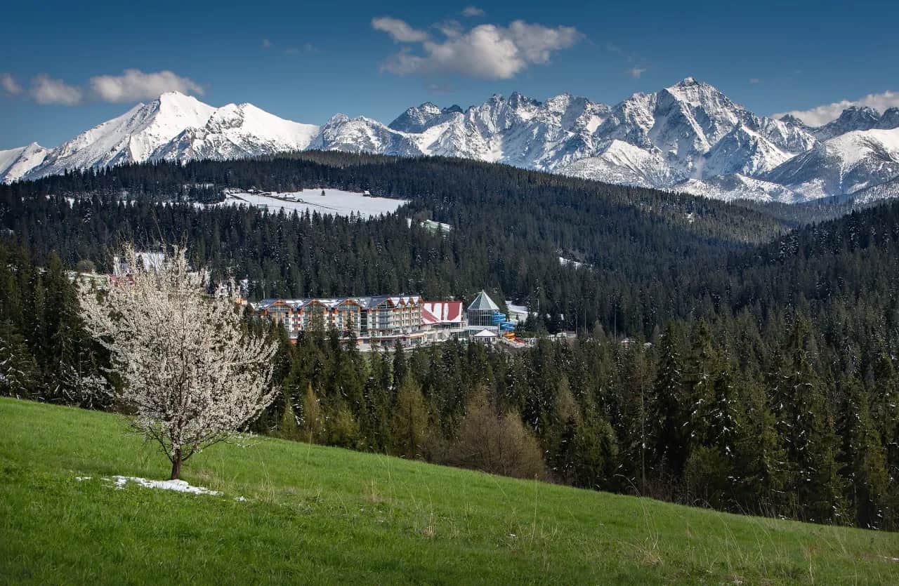 Hotel z termami w otoczeniu lasów TPN. Hotel BUKOVINA to wymarzone miejsce na urlop z rodziną lub we dwoje
