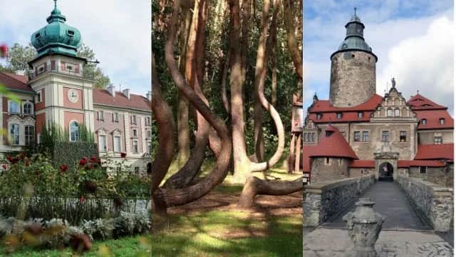 Pniewy atrakcje – odkryj ukryte skarby i miejsca, które zachwycają