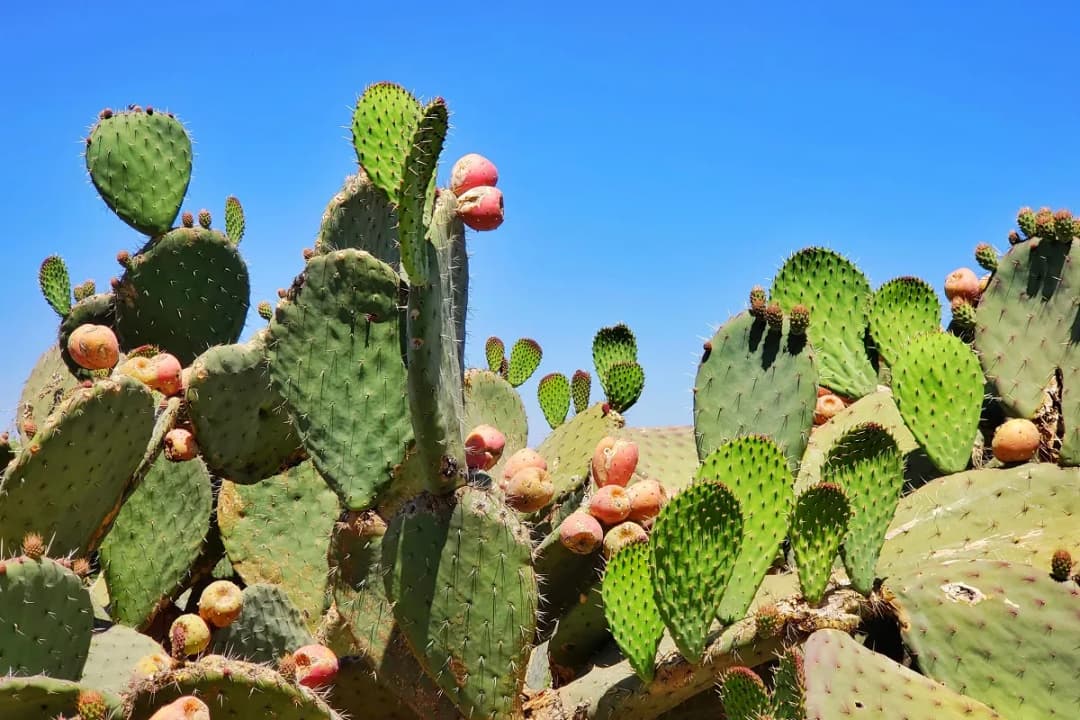 Meksyk kiedy jechać: uniknij deszczu i ciesz się słońcem w najlepszym czasie